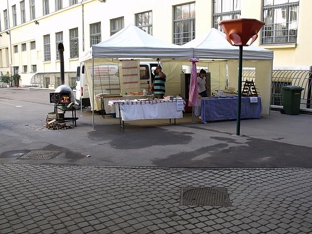 DSCF6837
