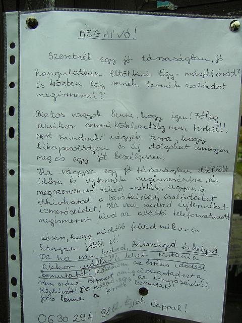 010A term k bemutat 