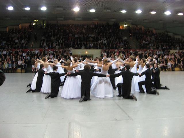IMG 0110