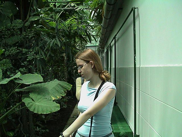 DSC00040