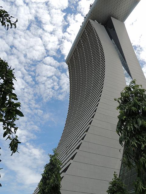 DSCN2643