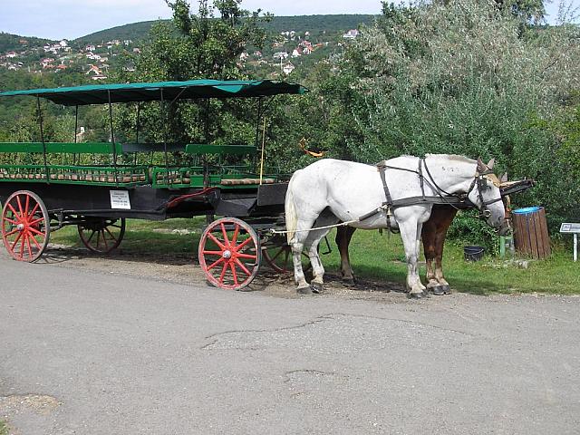 J k pek 031