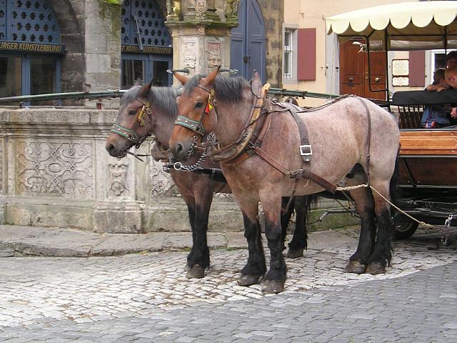 P1010032