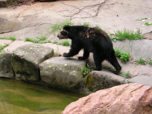 P1010213