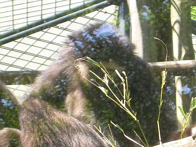dscn0869