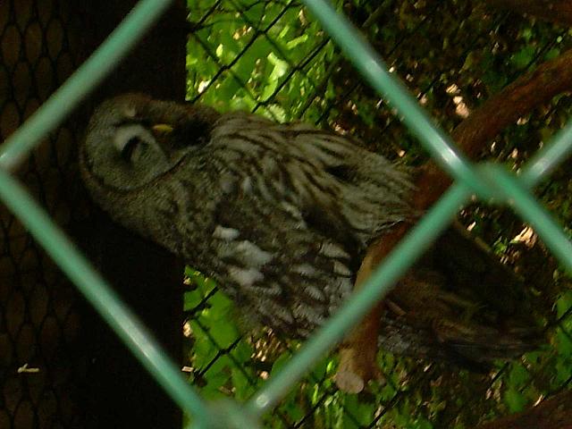 dscn0881