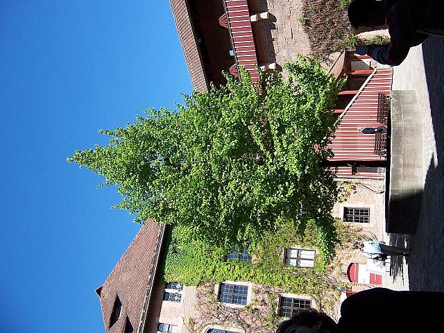 nurnberg 102