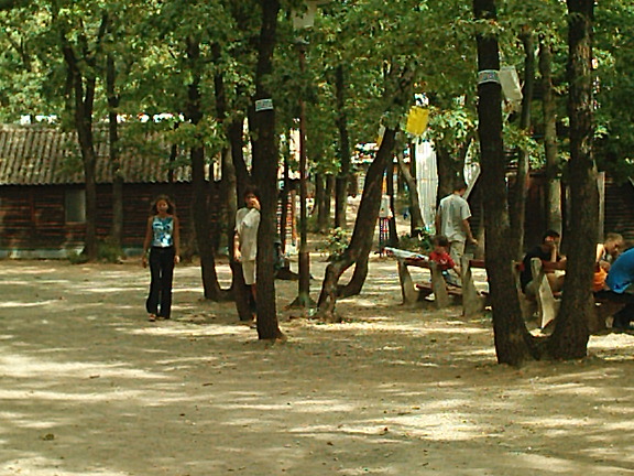 IM001088