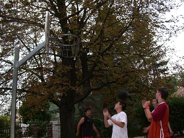 DSCN5724