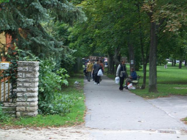 gt2005 018