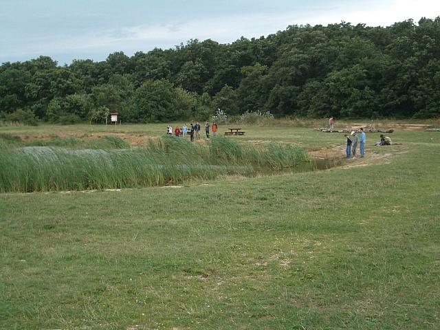 CIMG5217