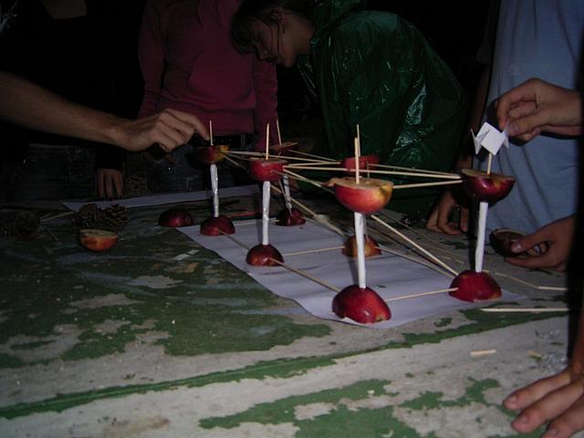 RIMG0080