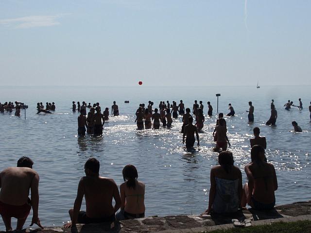 P8290435