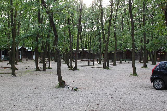 20100825-FazekasGT-eletkep-5