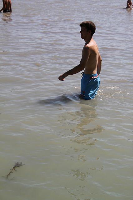 20100826-FazekasGT-strand-35