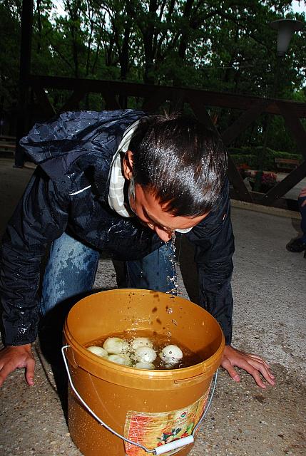 20100828-FazekasGT-allomas-19