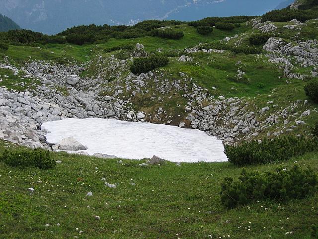 img 9333