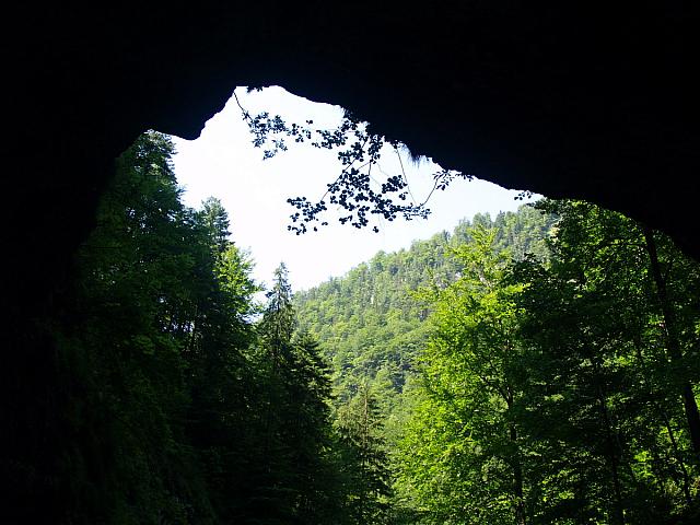 p7010441