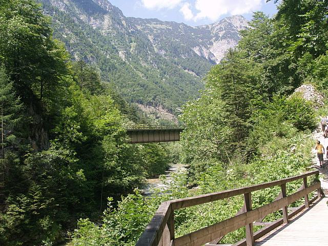 p7010461