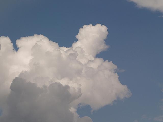 p7020577