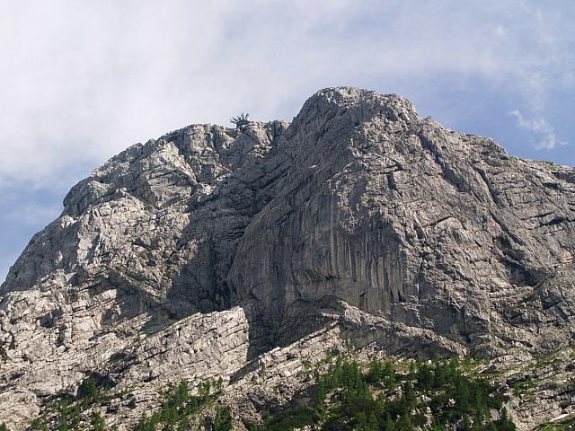 p7020598
