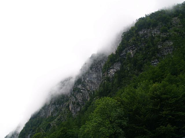 p7040662