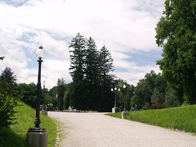 p7050729