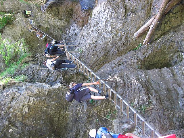 img 0251