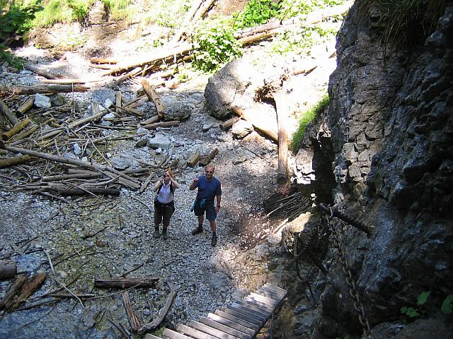 img 0259