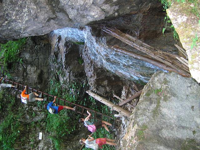 img 0307