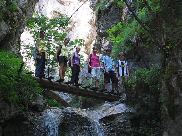 img 0310