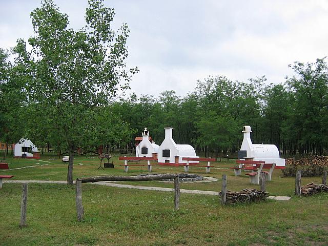 img 0324