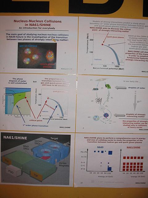 08 (11)