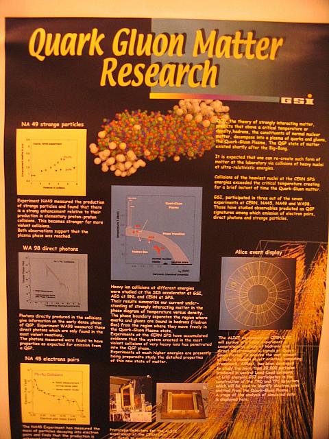 16 (7)