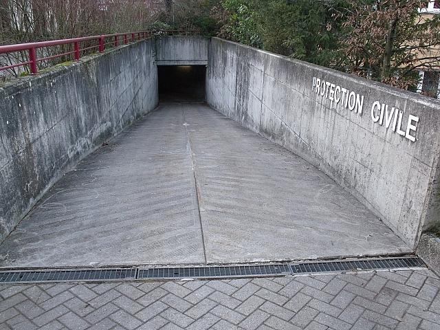 DSCF8349