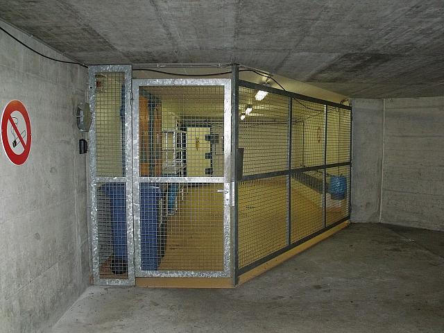 DSCF8353