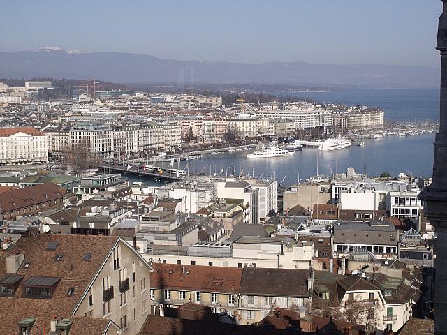 DSCF8391