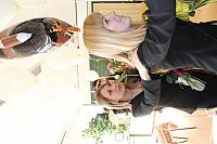 IMG 2615