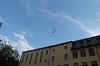 IMG 2464