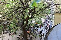 IMG 1507