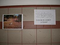 DSCN3365