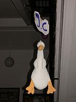 DSCN3373