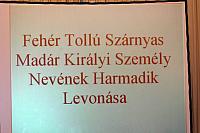 IMG 5997 002