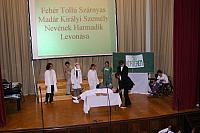 IMG 6058 002
