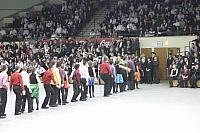 IMG 5849