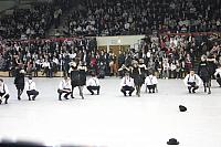 IMG 5929