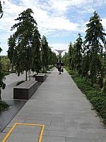 DSCN2638