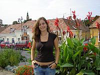 J k pek 029