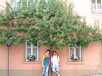 DSCF0007