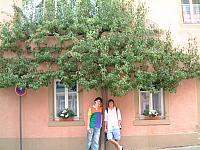DSCF0008